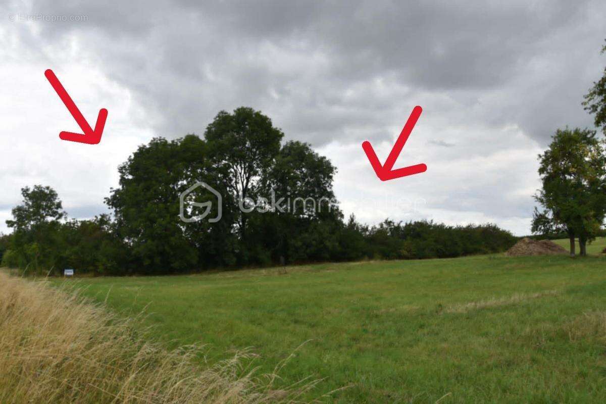 Terrain à VIGNEULLES-LES-HATTONCHATEL