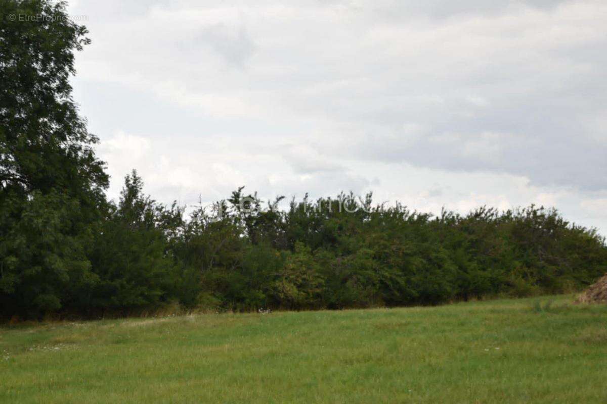 Terrain à VIGNEULLES-LES-HATTONCHATEL