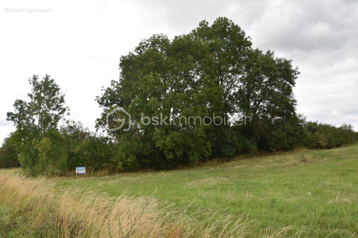 Terrain à VIGNEULLES-LES-HATTONCHATEL