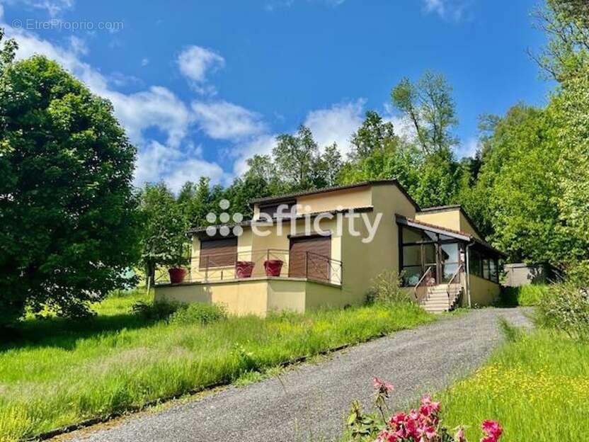 Maison à LA MONNERIE-LE-MONTEL