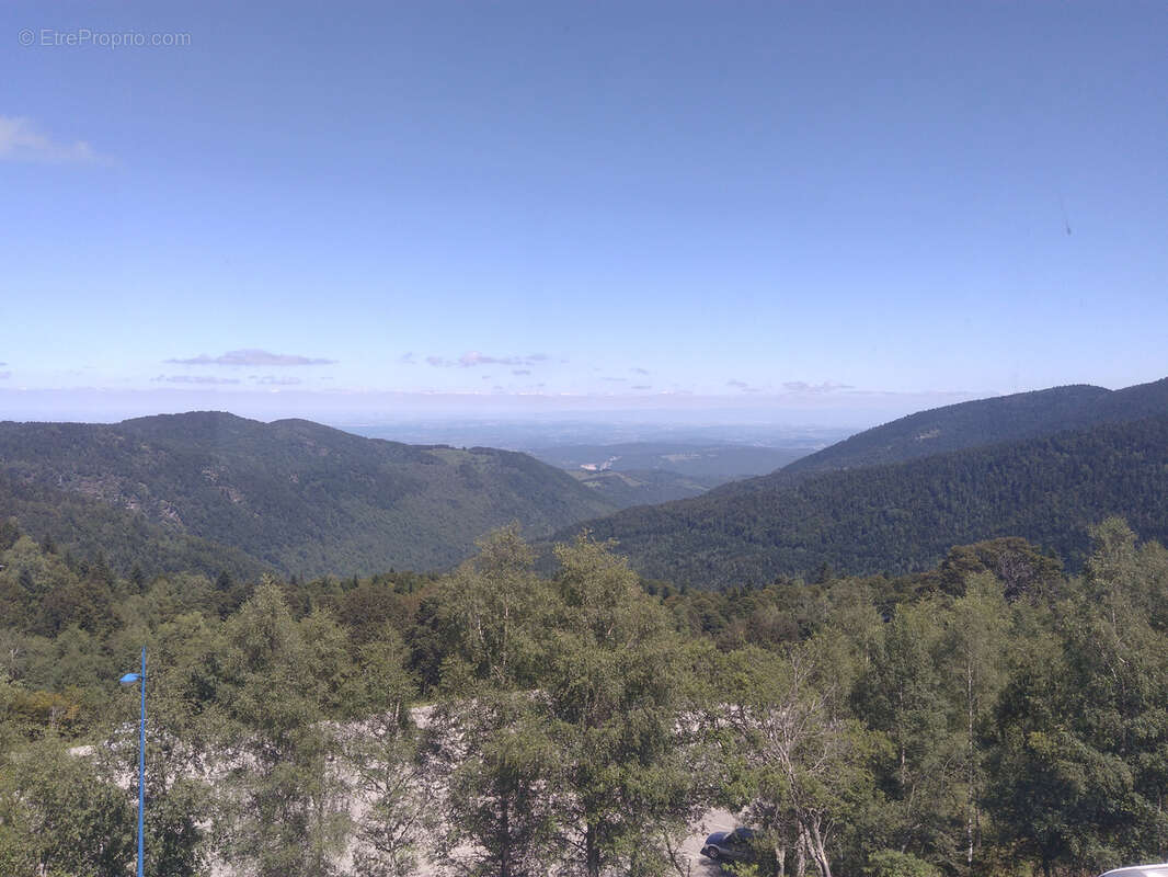 Appartement à MONTFERRIER