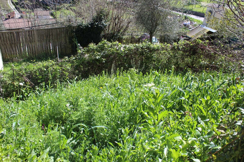 Appartement à LANTOSQUE