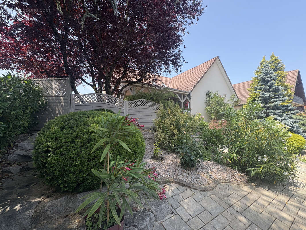 Maison à SAINT-LOUIS