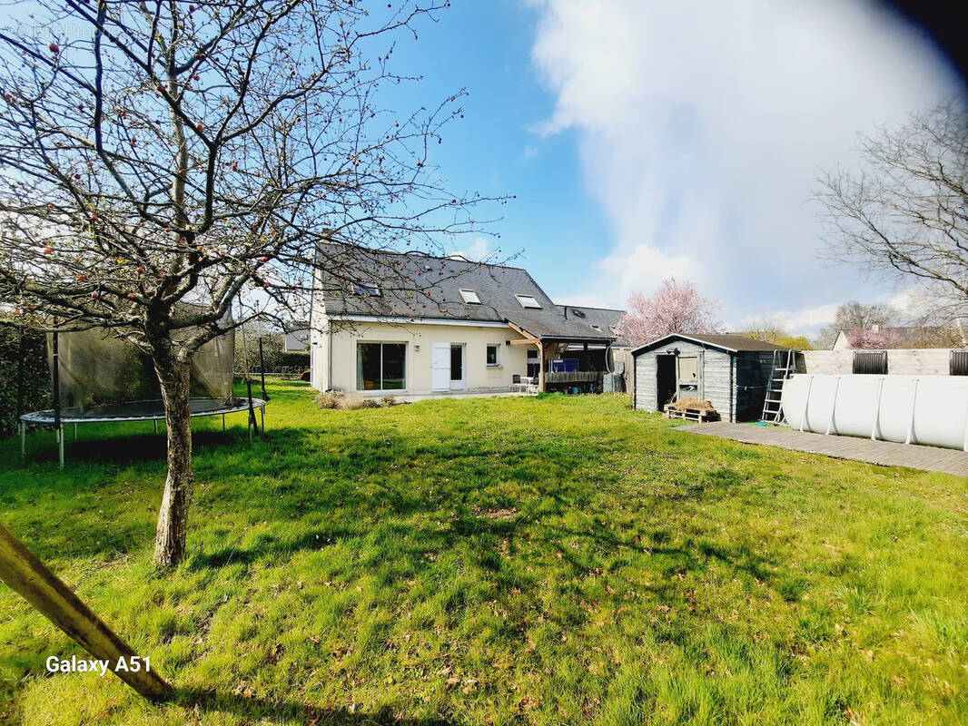 Maison à PELLOUAILLES-LES-VIGNES