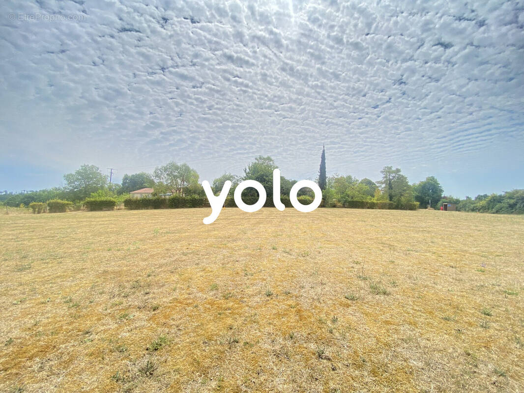 Terrain à LA BACHELLERIE