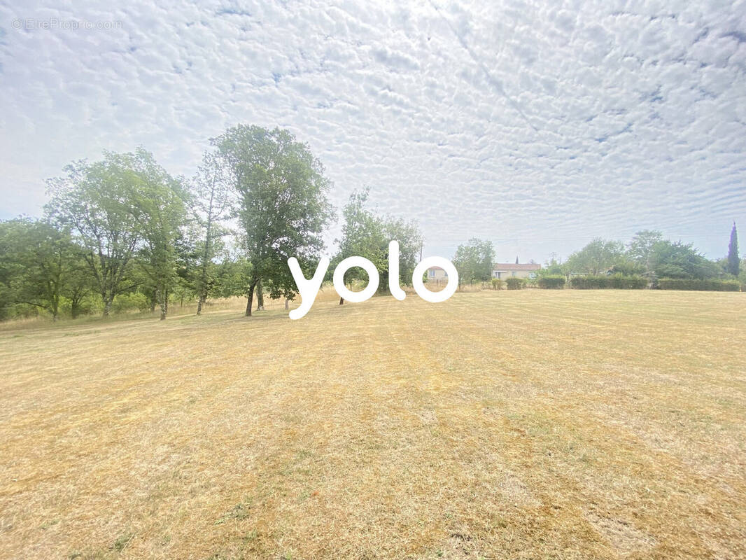 Terrain à LA BACHELLERIE