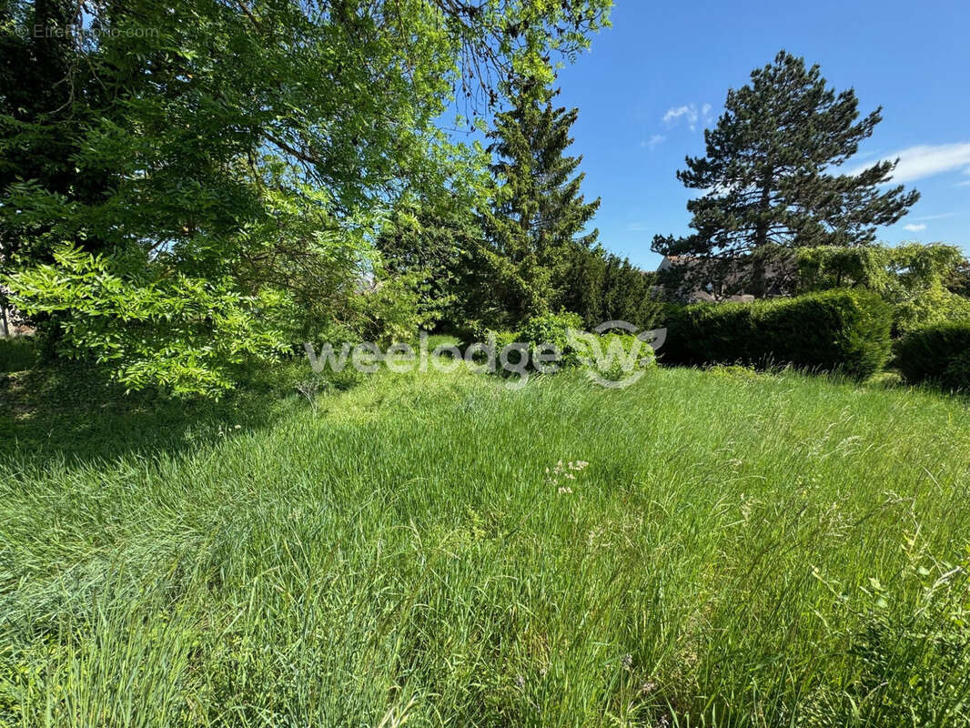 Terrain à MAURECOURT