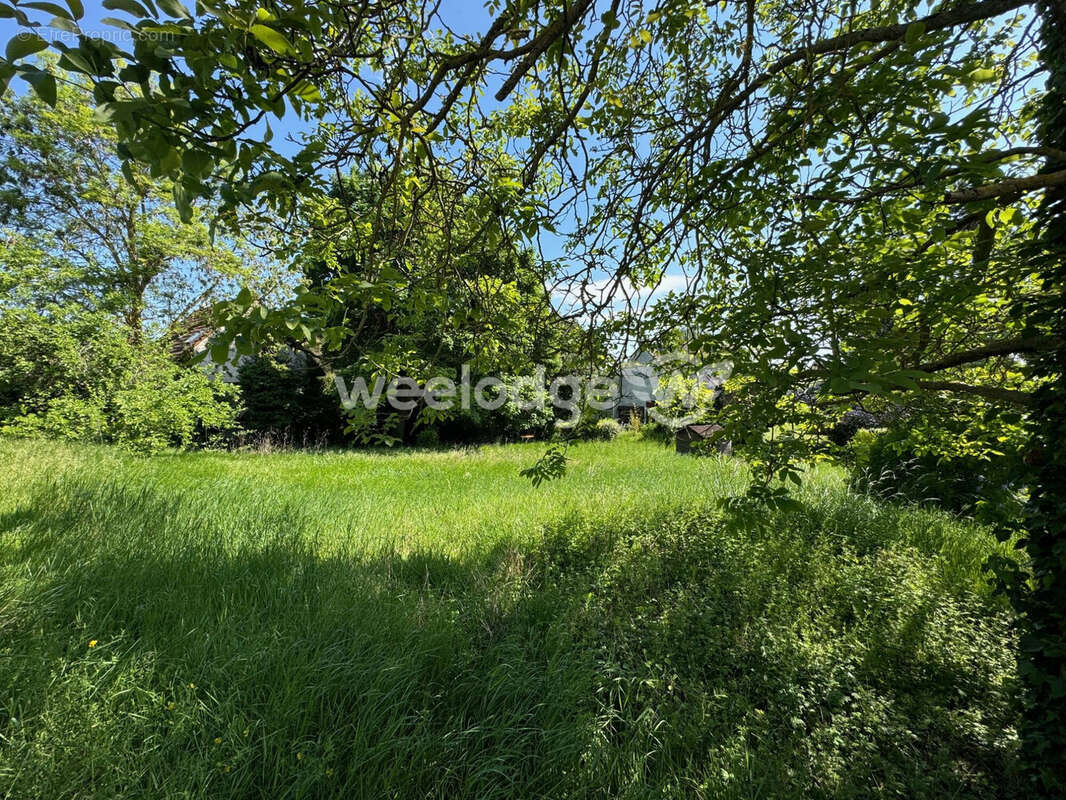 Terrain à MAURECOURT