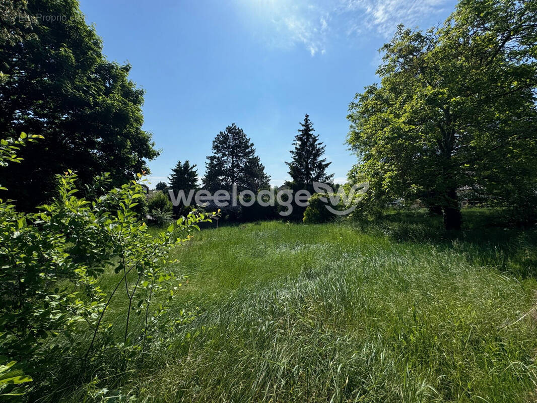 Terrain à MAURECOURT