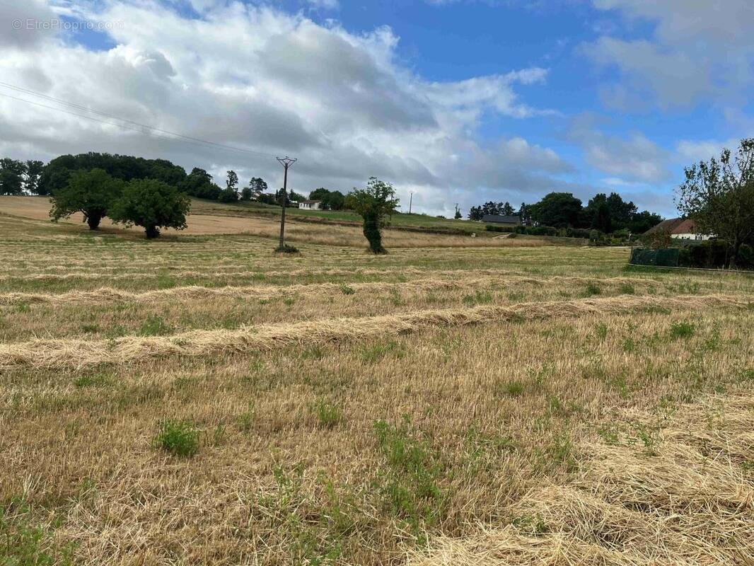 Terrain à SAINT-PROJET