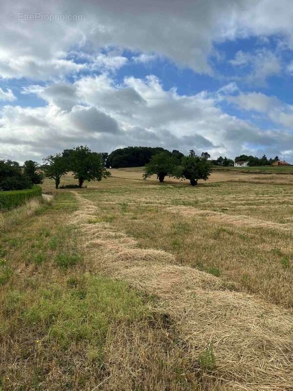 Terrain à SAINT-PROJET