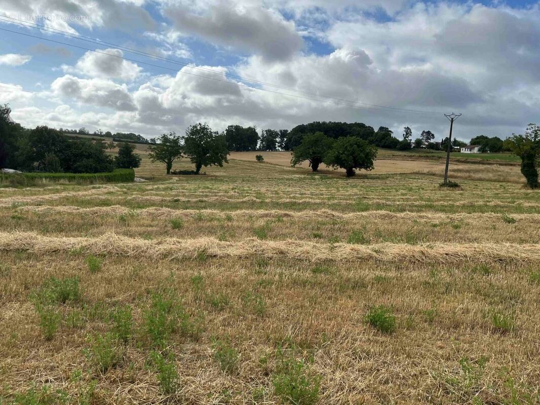 Terrain à SAINT-PROJET