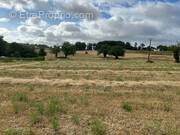 Terrain à SAINT-PROJET