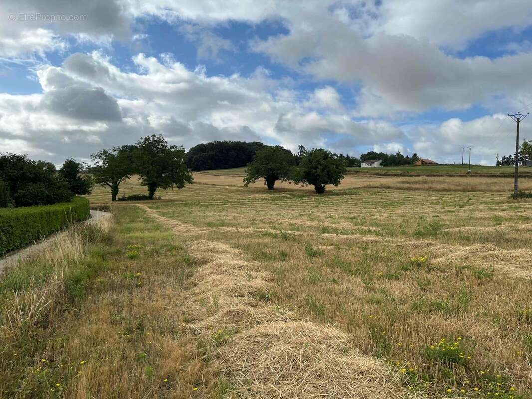 Terrain à SAINT-PROJET