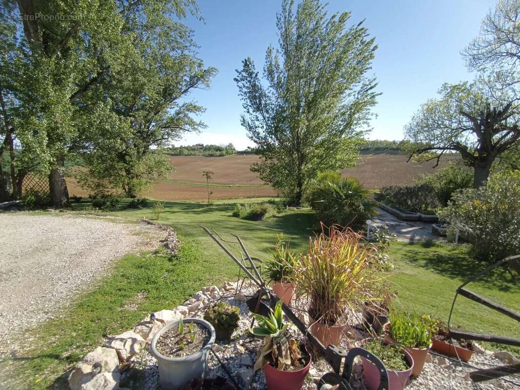 Maison à MONTPEZAT-DE-QUERCY