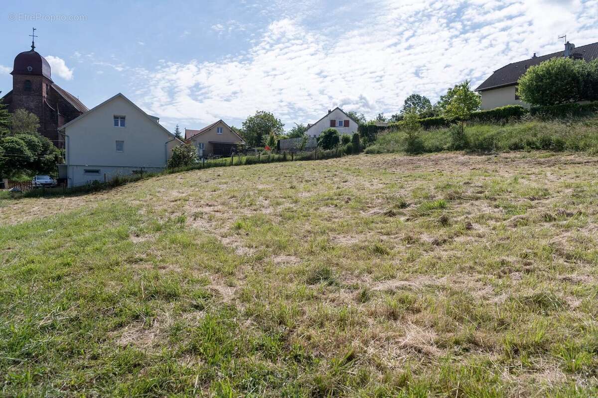 Terrain à SAULNOT