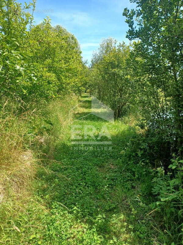 Terrain à LA CALOTTERIE