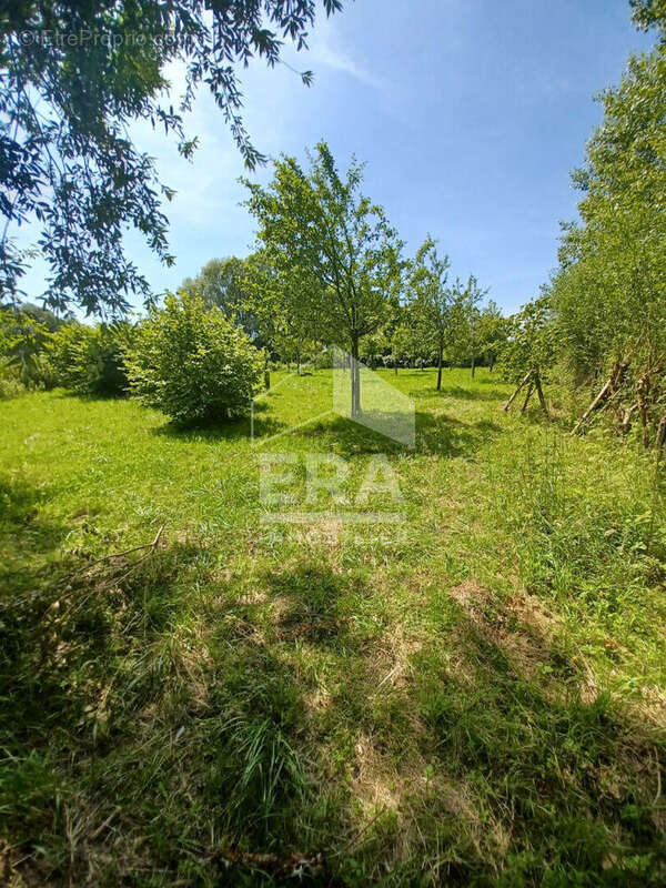 Terrain à LA CALOTTERIE