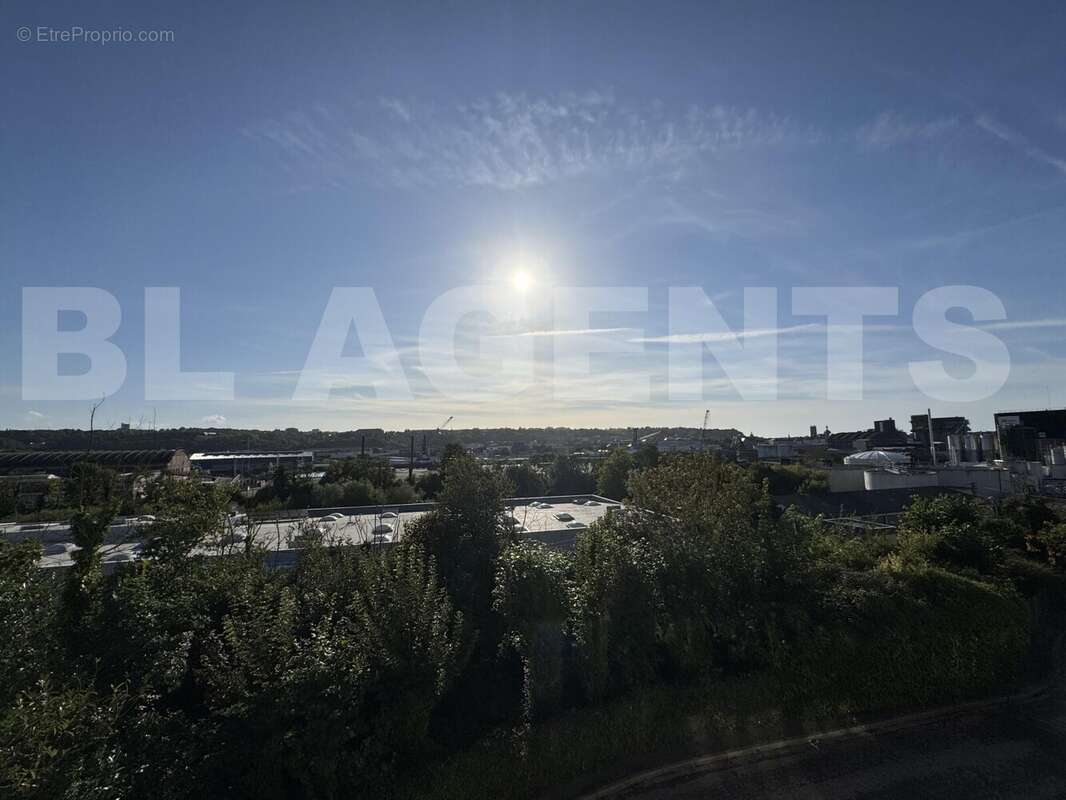 IMG_8309 - Appartement à BELLEVILLE-SUR-MER