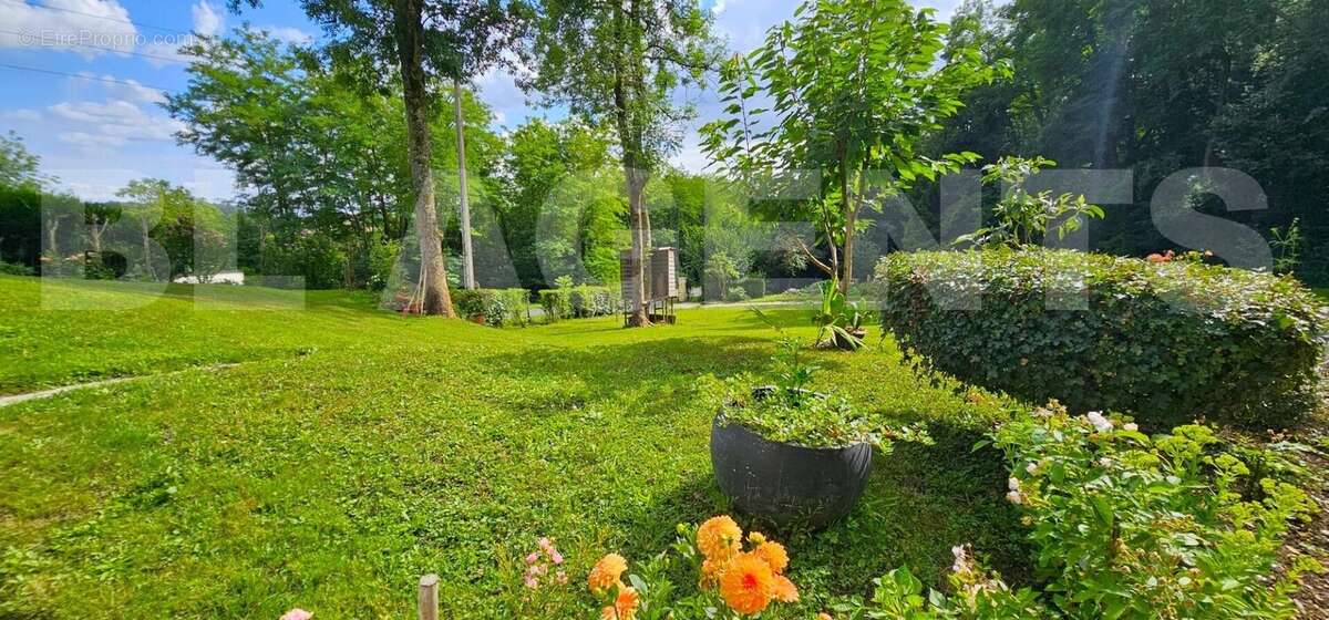 20250728_163417 - Maison à BOISSY-LE-CHATEL