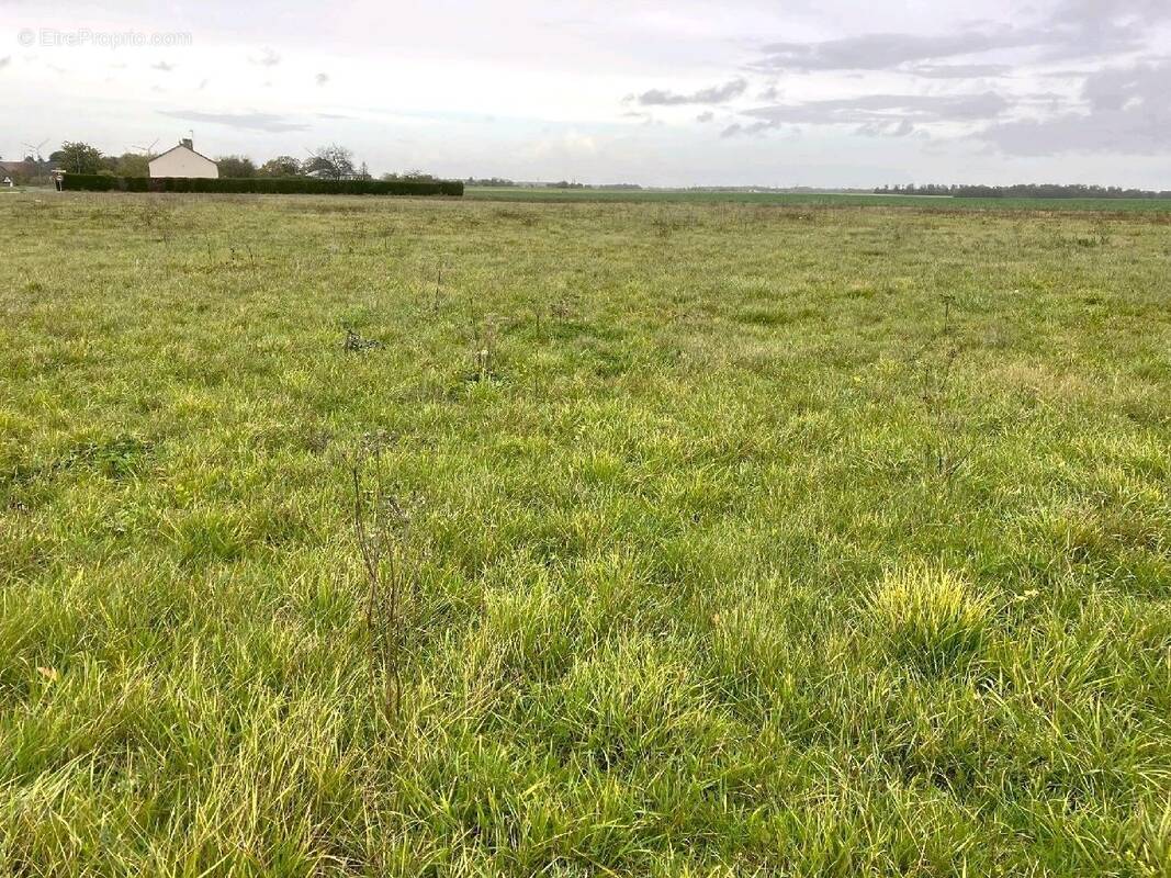 Terrain à LES ESSARTS