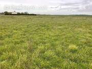 Terrain à LES ESSARTS