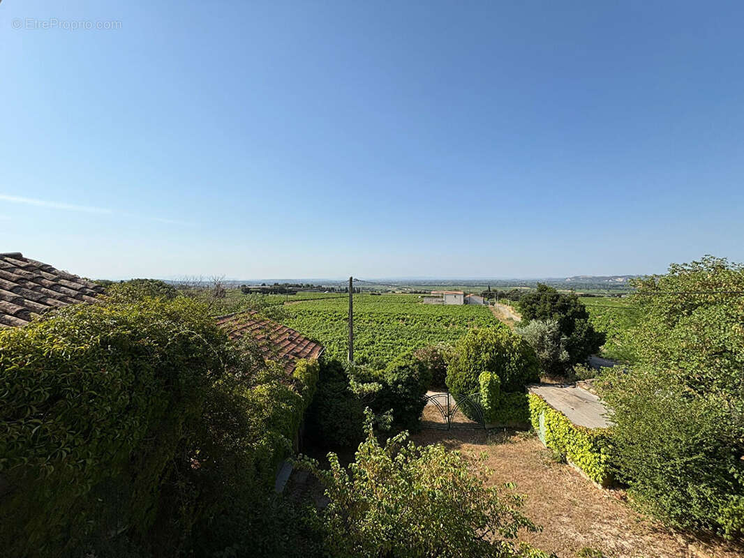 Maison à CHATEAUNEUF-DU-PAPE