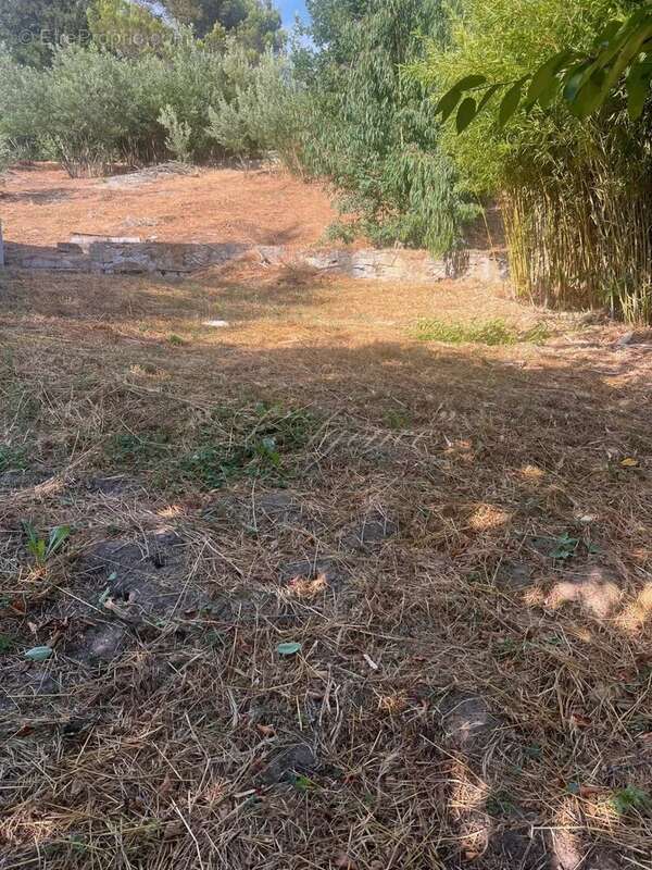 Terrain à BERRE-LES-ALPES