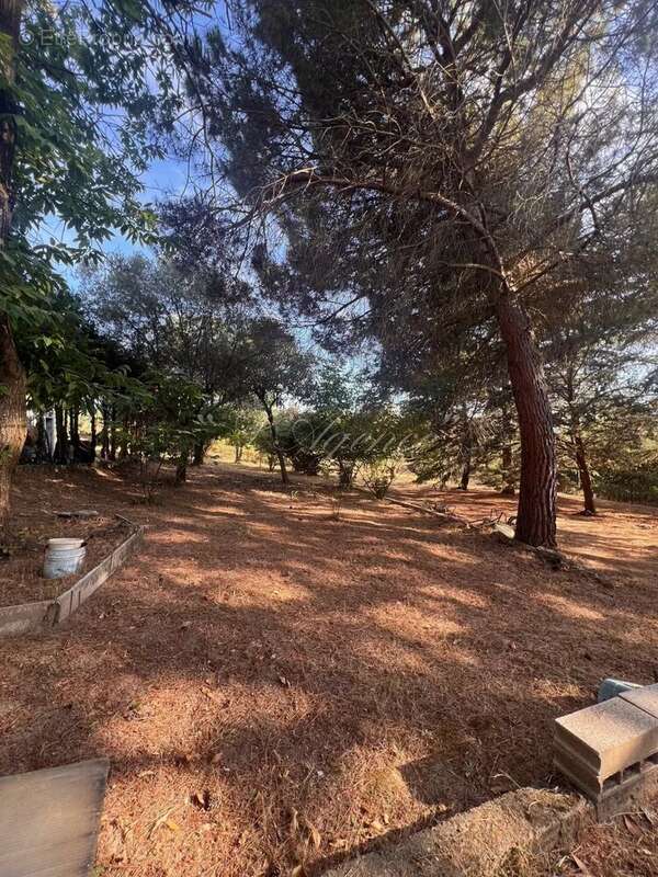 Terrain à BERRE-LES-ALPES