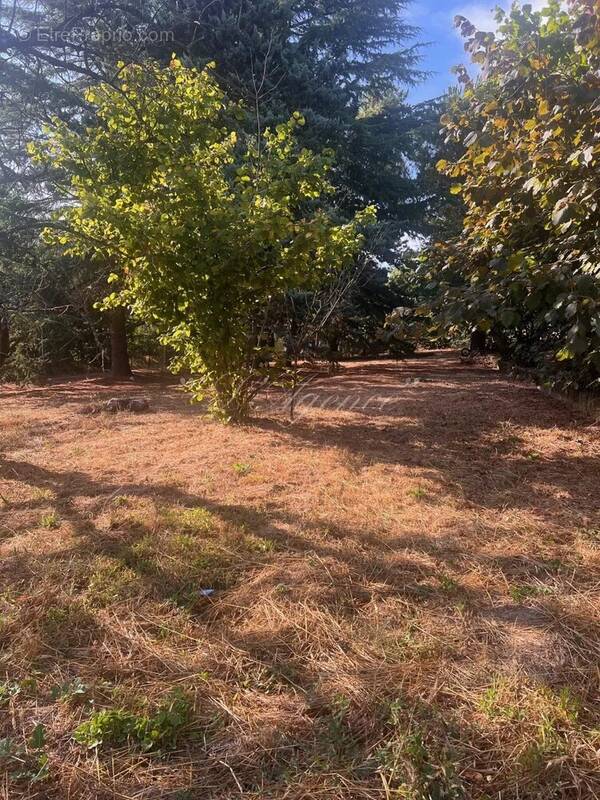 Terrain à BERRE-LES-ALPES