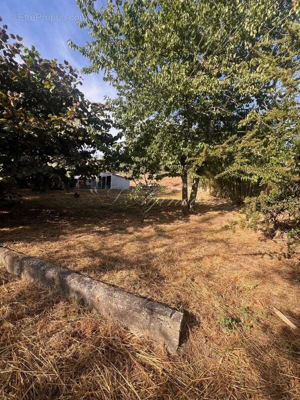 Terrain à BERRE-LES-ALPES