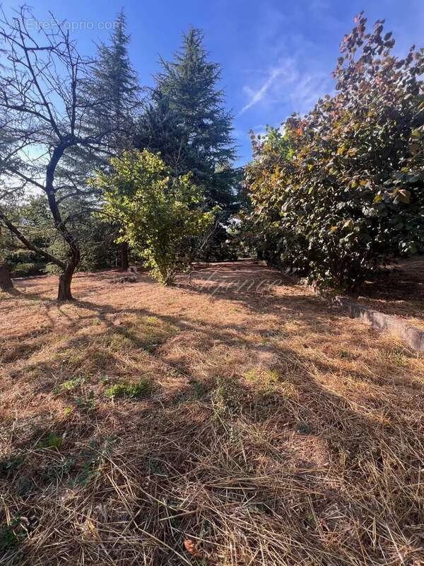 Terrain à BERRE-LES-ALPES