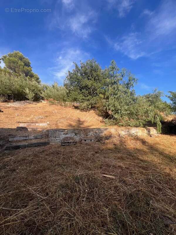 Terrain à BERRE-LES-ALPES