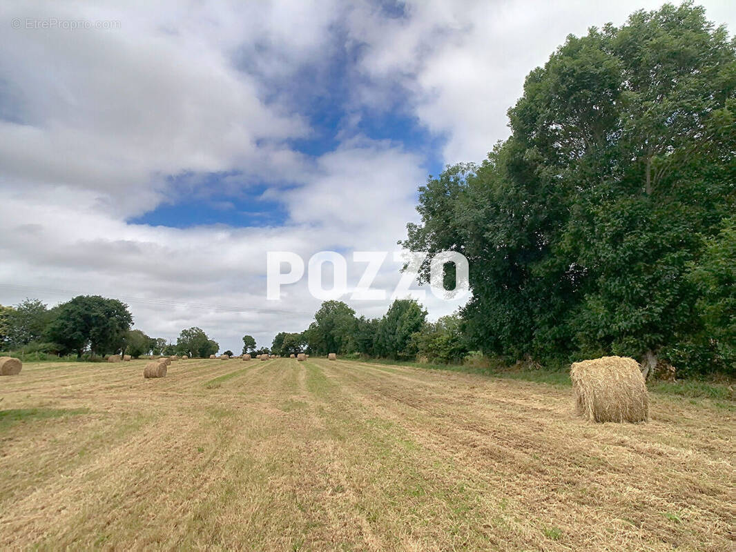 Terrain à PONTORSON
