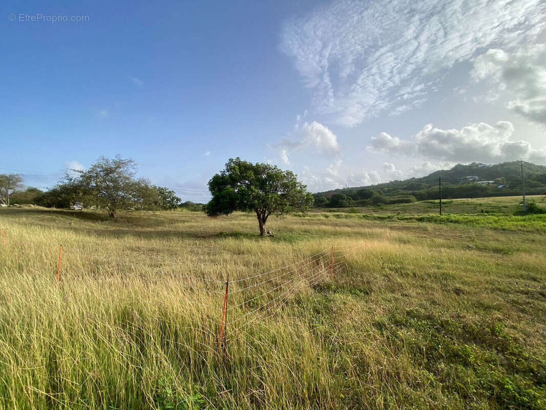 Terrain à GRAND-BOURG