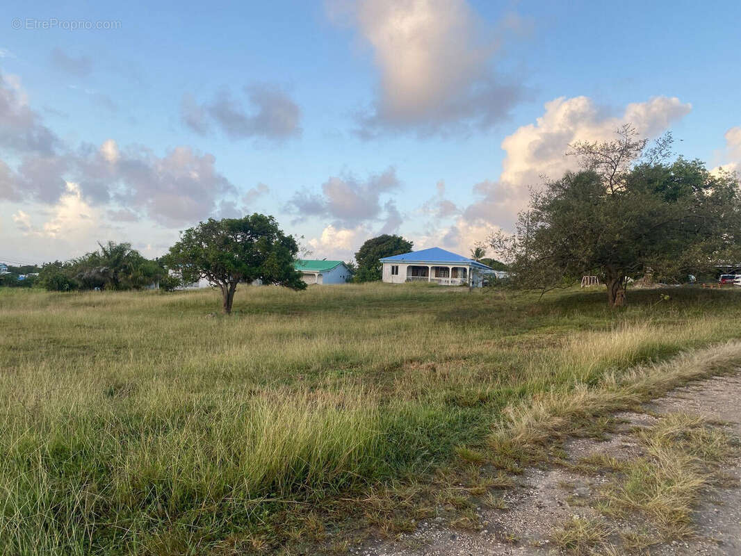 Terrain à GRAND-BOURG
