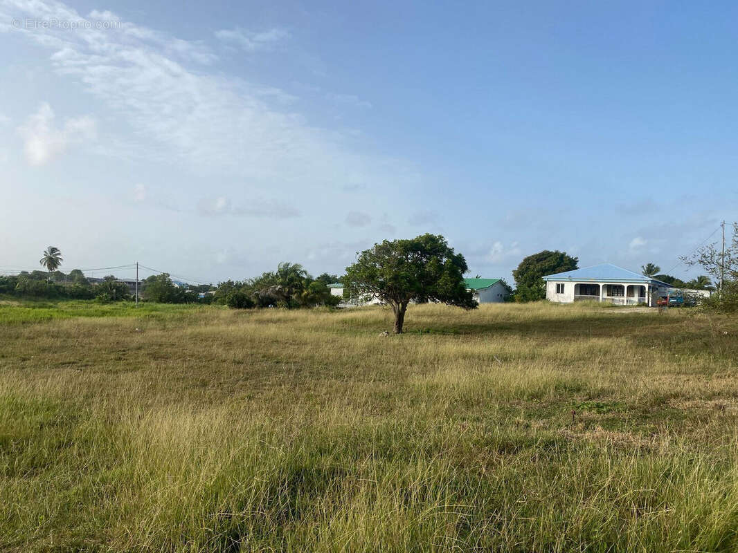 Terrain à GRAND-BOURG