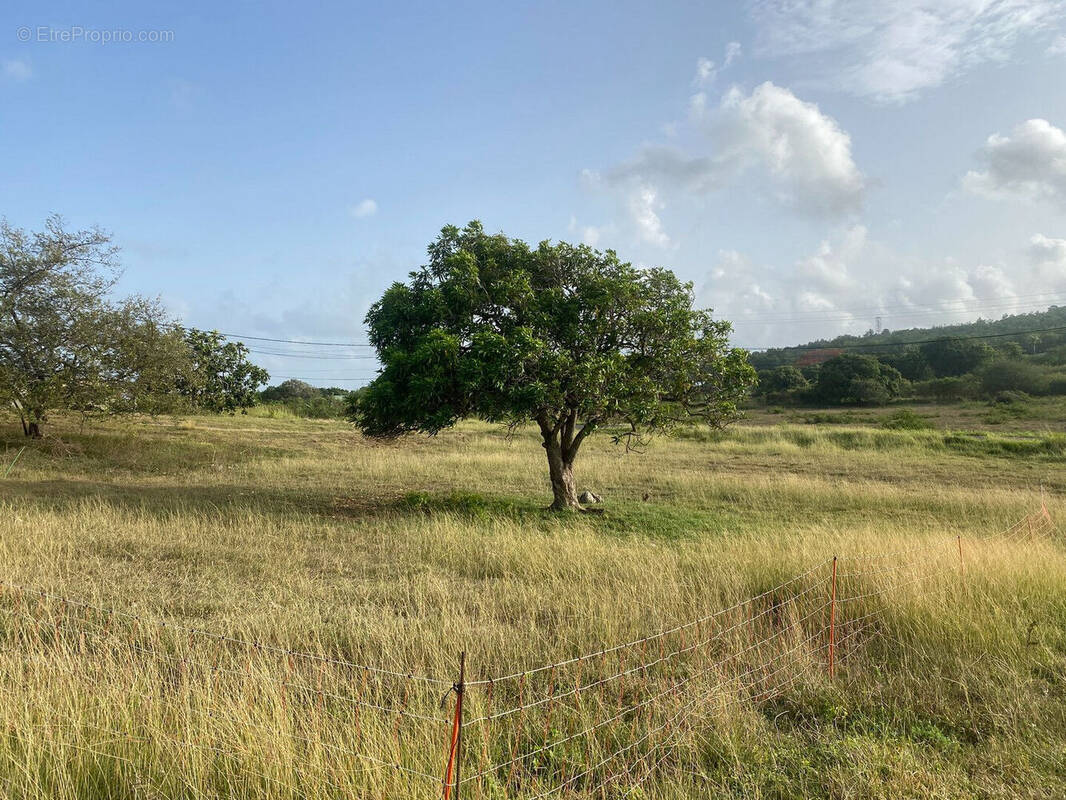 Terrain à GRAND-BOURG