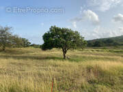 Terrain à GRAND-BOURG