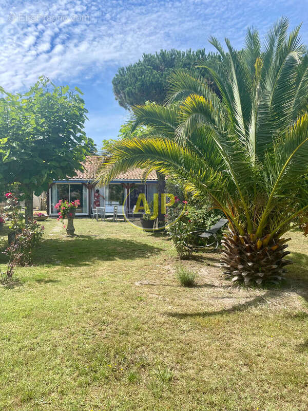 Maison à SAINT-VIVIEN-DE-MEDOC