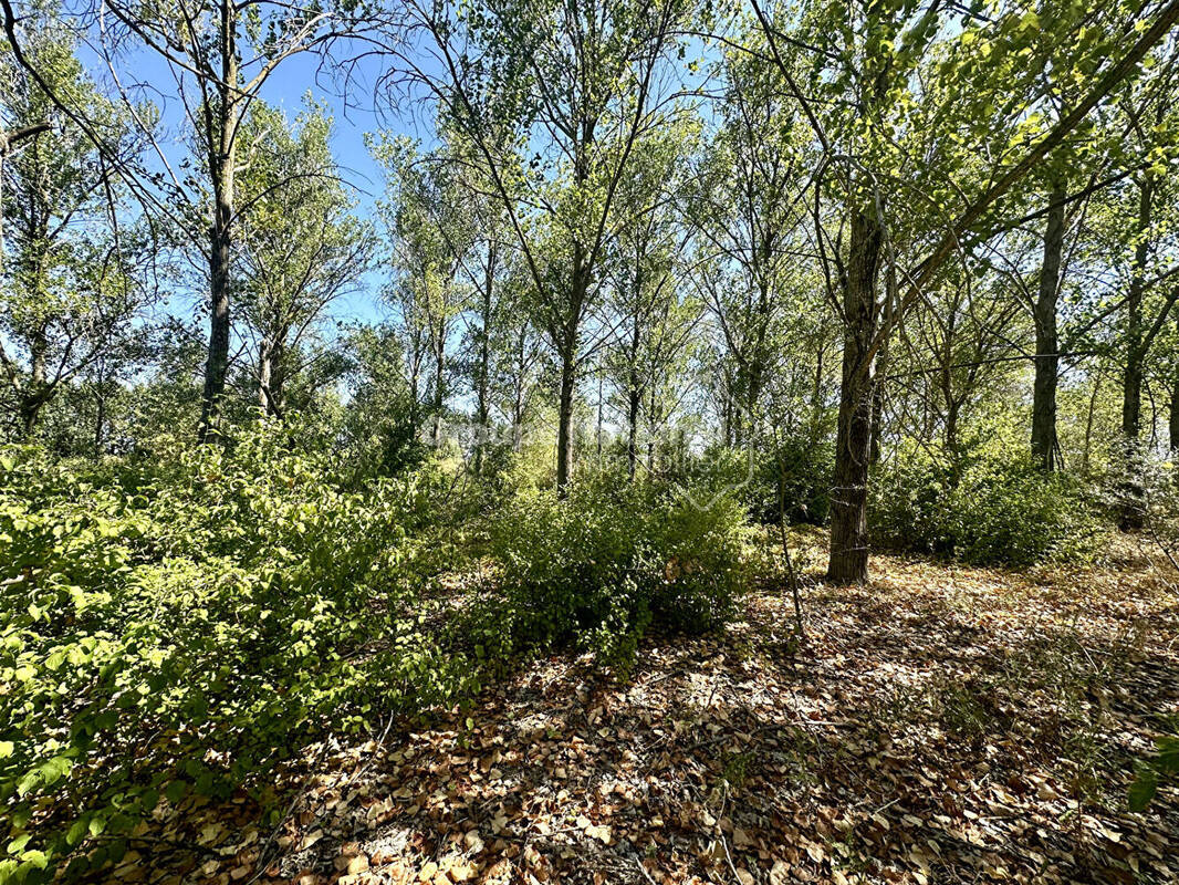 Terrain à MARSILLARGUES