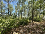 Terrain à MARSILLARGUES