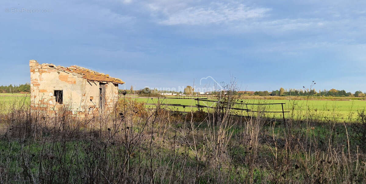 Terrain à MARSILLARGUES