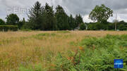 Terrain à MONTFORT-SUR-RISLE