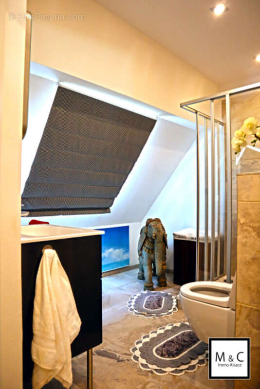 Maison à LAUTERBOURG