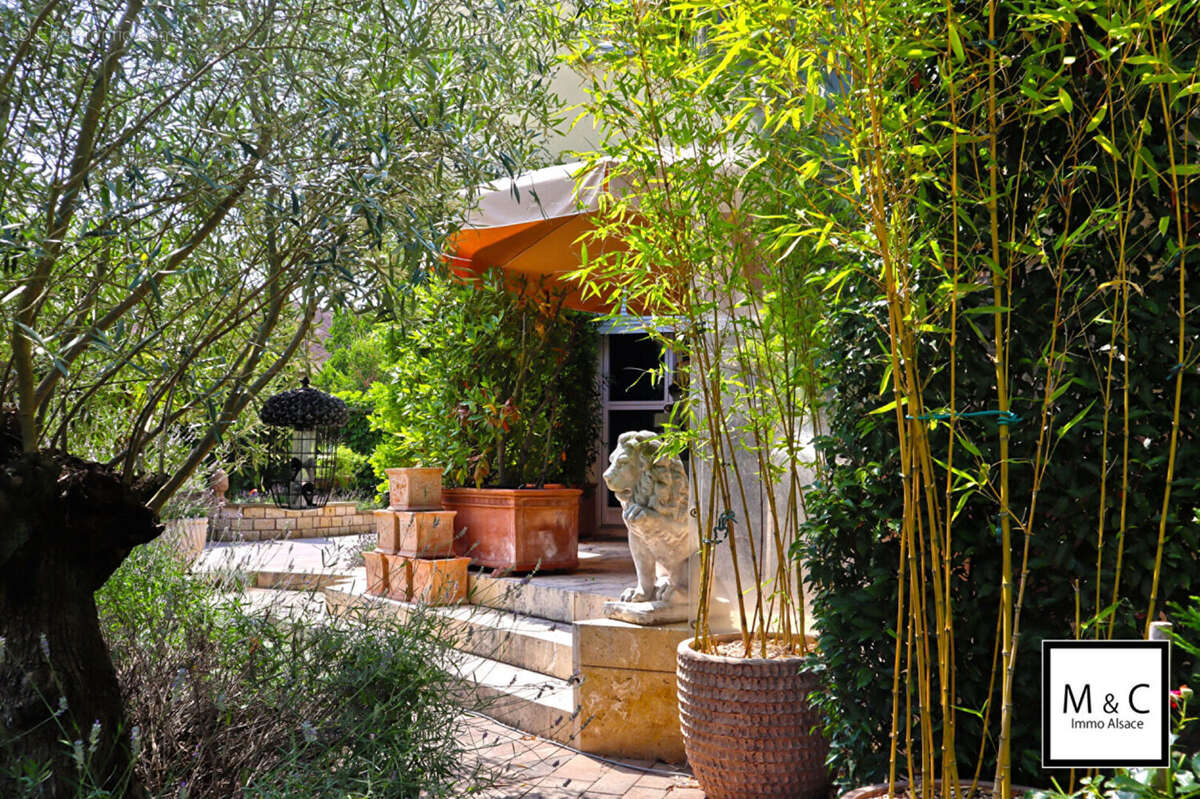 Maison à LAUTERBOURG