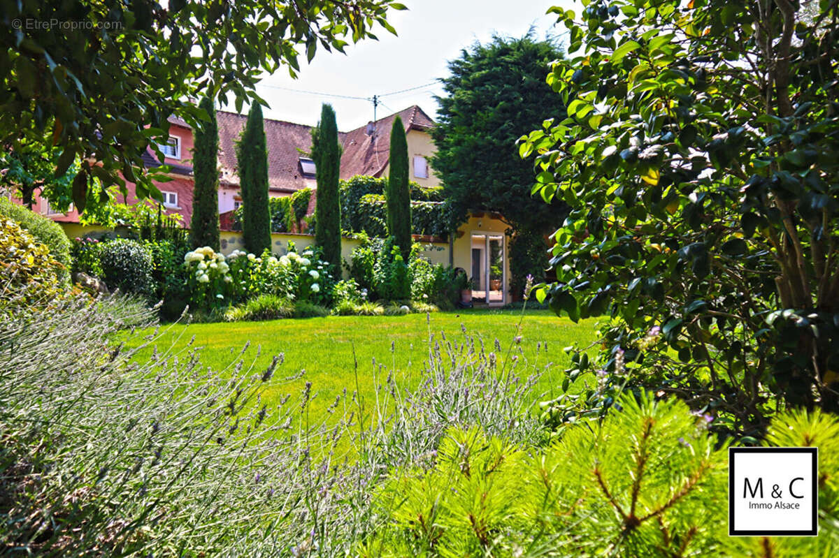 Maison à LAUTERBOURG