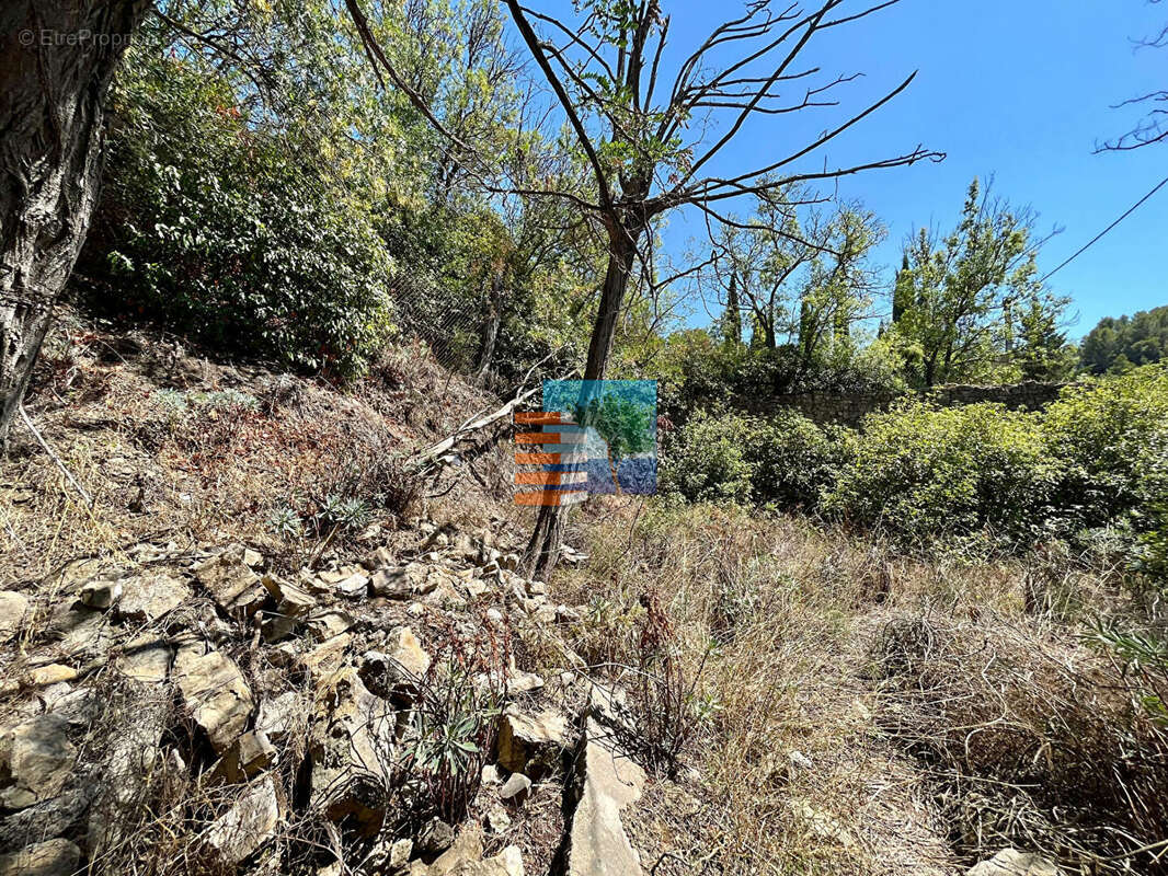 Terrain à VILLESEQUE-DES-CORBIERES