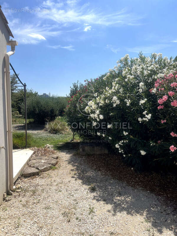 Maison à SAINT-REMY-DE-PROVENCE