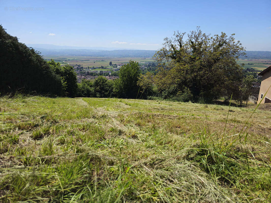 Terrain à LA COTE-SAINT-ANDRE
